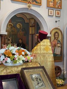 IMG_1173.jpg