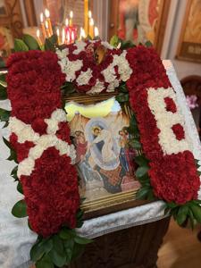 IMG_5298.jpg