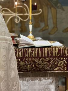 IMG_5761.jpg